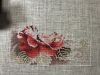 IMG_7388.thumb.jpeg.a8e0caf27f94be8aca5bd404286ddbba.jpeg