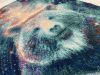 IMG_9358.jpeg