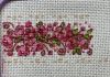 IMG_9538.jpeg