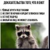 Vve7QyN7Ixg.thumb.jpg.365f3968396d7c84ec53d9e91dd7cf46.jpg