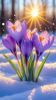 aa9a827be609ed52607f7aeabb3197a4.thumb.jpg.efd22112bf8be6303df360696eda29bb.jpg