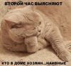 h-22154.thumb.jpg.9c722acfadc781a1a98b2b95b1b0c91c.jpg