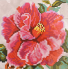 image.thumb.png.21237c250a47c565450d1bcdf2495bb6.png