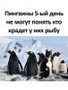 jIEFgiBRICUrFgLx1a6Hj-5DIBC9BPalWwwZG9nF2h6W3lrpnvbFlR53eLMDEWQ3SccRhnu68sFG35K1neoNMH1W.thumb.jpg.5ba7a3b5208f4f1bc23314445ad63581.jpg