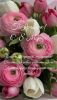 lUj-Vpf8aLitahrrhmbxI6ezQi0adLsnqO7mULth0OS0IF33nw9mzhzv0PMPNf0Fwm_AyXqNqS1-QTBE0KfgU-qc.jpg