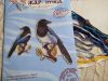 1.thumb.jpg.e4270ffd4fdded3ae2c281fc350933d4.jpg