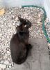 1030109973_.thumb.jpg.fdde1b9501d338ecae2002b4b34f5410.jpg