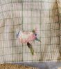 1222363834_.thumb.jpg.0008d9cad8802b54b5cbafded7cd0ff0.jpg