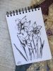 1504337623_.thumb.jpg.6ee103684b0759055e8f769e290f3abb.jpg