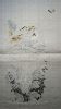 1739846526_332-1.thumb.JPG.d389b3061c3ff1ae0bcc833ebb9e26ca.JPG