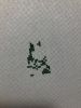 2.thumb.jpg.c9d85fa4bd52066aa46ad099a5c37c99.jpg