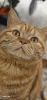 20260124_194228.thumb.jpg.97553b55de6b07303e3f08728ef80c3b.jpg