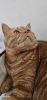 20260314_132642.thumb.jpg.6b493e0c40b8832611fec5b3f64a305b.jpg