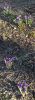 20260401_074409.thumb.jpg.27fc86c5a4a360a806704ea60b722fd1.jpg