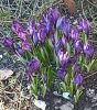 20260401_074423.thumb.jpg.7104fae5dba29fd61978c2a3c00e0109.jpg