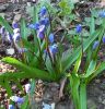 20260401_074627.thumb.jpg.caecc415fea994ea2d8074e3e4162934.jpg