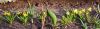 20260408_075054.thumb.jpg.855780009d482a2a0d00caab0aedb134.jpg