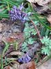 20260412_081823.thumb.jpg.fe357c81bcbe06d6ccdfc214ca9dabdf.jpg