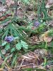 20260412_081828.thumb.jpg.5f367db9bab72ed7ab1a7cca089a9979.jpg