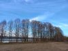 20260412_082957.thumb.jpg.e2a32773f80b1ef8c058b6af639dc784.jpg
