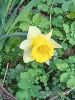 20260417_075143.thumb.jpg.0a304946a64dd0bbcbee5b756c828786.jpg