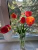 20260429_091607.thumb.jpg.969592cbc14c7db1c2dfb836b07f81a5.jpg