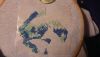26-04-09_1.thumb.jpg.c8468d25aae476078295c7cdca237fa2.jpg