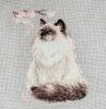 449285262_Meow-Zenfinish.thumb.jpg.b38cf578cc1832d4729cd241d170768f.jpg