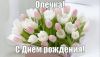 48b26b34522c565f294d7d69d1179630.thumb.jpg.abe76dae158f61db2d4c250f6e89ee9f.jpg