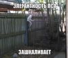 492958469_foto.thumb.jpg.a433acd7effb2bf669a548c9258fb62f.jpg