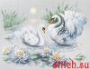 52833.thumb.jpg.eb958dbec10f8468ad8c9f6bfdc218ae.jpg