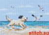 62404.thumb.jpg.960bc3628a42f8c8a39d69442c7cc7ab.jpg