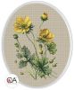 Collection D'Art BC8110, Лютики