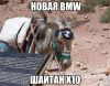 740204821_foto.thumb.jpg.93c52eaff9a07937a6f63711704eacdf.jpg