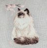 804837030_Meow-Zenfinish.jpg.3c3717ce303794a7861edefde39007e1.thumb.jpg.da7c9045060ea1e2da9834aa792b82ad.jpg