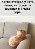 9.thumb.jpg.d6d2af55ed0fac373c419dddd40b18d2.jpg