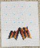 DSC05175.thumb.JPG.62f3d977f258eb1d36add96ea5d0396a.JPG