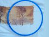 DSC_1090.thumb.JPG.9d2f5d57cb3ad1f6760440365acdf196.JPG
