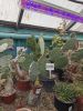 IMG20260301141847.thumb.jpg.48d721f3c5d31a94076fb15c4cc9f4b4.jpg