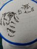 IMG20260405014547.thumb.jpg.615c95edec9da64df966a07952bab97d.jpg