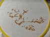 IMG20260418004551.thumb.jpg.d43a3108db9bb169591d6ab9e7b4f359.jpg?1776457087565
