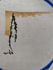 IMG20260430003417.thumb.jpg.f0c0d4e7f7669a63c80a8c92a9a8a6fe.jpg