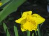 IMG_0023.thumb.JPG.f82ec7dc0fcef58ab6a49c3d642b284f.JPG