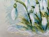 IMG_0339.thumb.jpeg.8d7b82b28d387510b8d3c664d35a5b39.jpeg