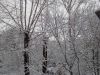 IMG_2026-04-07-07-15-52-561.thumb.jpg.2814f100fee2c0931c84f79f7121399b.jpg