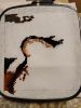 IMG_20260330_200915.jpg.bcb233ad6a8ec4f22d3391048e1ad2f9.jpg