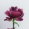 IMG_20260401_143217_224.thumb.jpg.b2d285c9df1821859886116c1fdb87e4.jpg