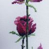 IMG_20260401_143227_163.thumb.jpg.37a406e7d0e1fa087f5108bed24c529a.jpg