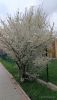 IMG_20260403_162628.thumb.jpg.c94302210d085d799830055ba4f23f4a.jpg