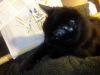 IMG_20260410_183008.thumb.jpg.560c7ce552d9dbb94412bf073af2f2fc.jpg